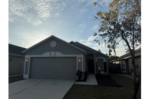 6217 Calamari Pl, RIVERVIEW