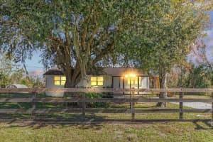 3628 Foxwood Blvd, WESLEY CHAPEL