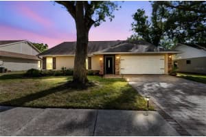 15007 Redcliff Dr, TAMPA