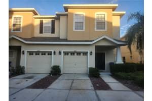 1043 Andrew Aviles Cir, TAMPA