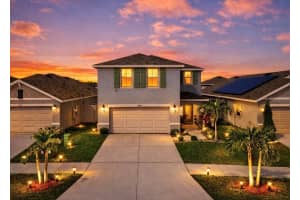 16619 Mosaic Oar Dr, WIMAUMA