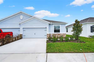31463 Paper Birch St, WESLEY CHAPEL 31463 Paper Birch St, WESLEY CHAPEL