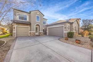 19359 Yellow Clover Dr, TAMPA