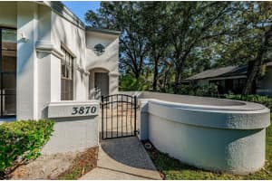 3870 Pheasant Ct, PALM HARBOR