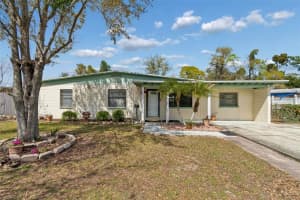 203 W Linebaugh Ave, TAMPA