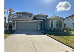 32029 Garden Alcove Loop, WESLEY CHAPEL