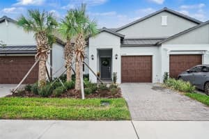 17244 Tortoise Crown Blvd, LAND O LAKES