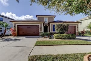 33423 Azalea Ridge Dr, WESLEY CHAPEL