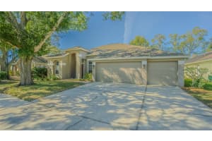 12804 Big Sur Dr, TAMPA