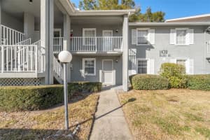 1438 Millstream Ln #102, DUNEDIN