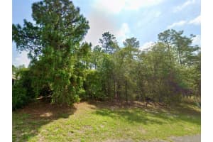 8039 N Creek Way, CITRUS SPRINGS