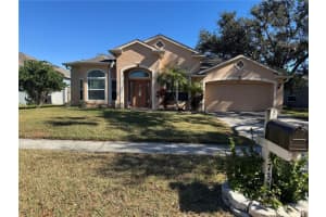 3732 Cold Creek Dr, VALRICO