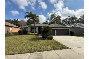 1146 Lumsden Trace Cir, VALRICO