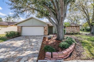 1610 Sanderling Ct, BRANDON