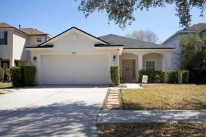 20163 Bay Cedar Ave, TAMPA