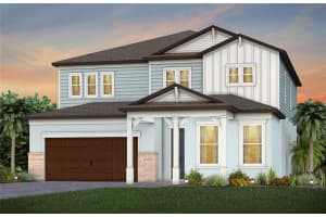 33347 Barnebrook Dr, WESLEY CHAPEL