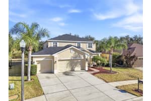 5713 Justicia Loop, LAND O LAKES