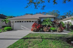 1462 Woodstream Dr, OLDSMAR 1462 Woodstream Dr, OLDSMAR