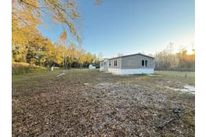 15356 Apache Dr, THONOTOSASSA