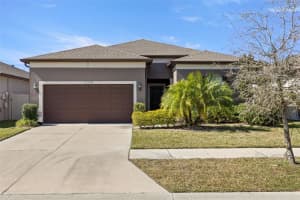11119 Green Harvest Dr, RIVERVIEW