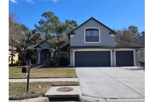 10740 Rain Lilly Pass, LAND O LAKES