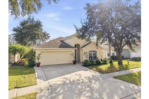 5522 Terrain De Golf Dr, LUTZ