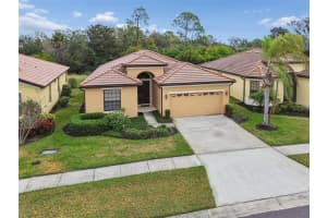 127 Silver Falls Dr, APOLLO BEACH