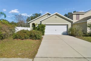 10104 Hawk Storm Ave, TAMPA
