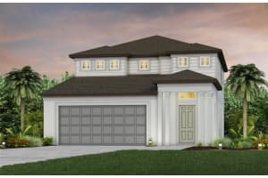 6279 Broad Field Ave, APOLLO BEACH