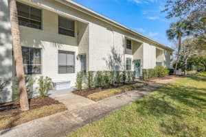 4311 La Vera Ct, TAMPA