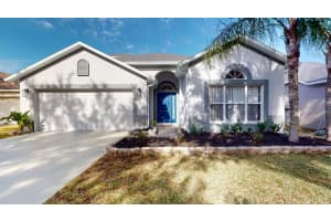 15819 Cedar Elm Ter, LAND O LAKES