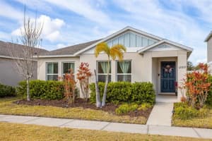 12619 Hammock Park Dr, RIVERVIEW