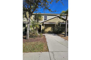 2954 Willowleaf Ln, WESLEY CHAPEL