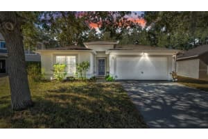 30244 Birdhouse Dr, WESLEY CHAPEL