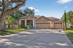 3533 Mossy Oak Cir, LAND O LAKES