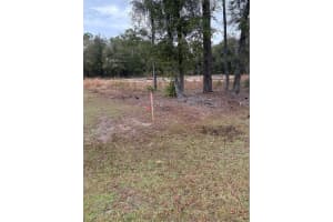 Sw 202nd Ct &sw 63rd Pl, OCALA