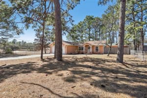 15327 Green Jay Rd, WEEKI WACHEE