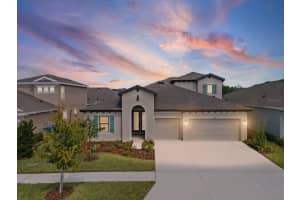 6092 Hidden Br Dr, APOLLO BEACH