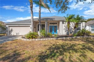 19015 Fern Meadow Loop, LUTZ 19015 Fern Meadow Loop, LUTZ
