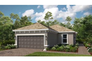3938 Immacolata Way, WESLEY CHAPEL