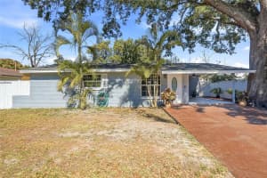 113 W North St, TAMPA