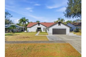 4703 Orange Grove Way, PALM HARBOR 4703 Orange Grove Way, PALM HARBOR