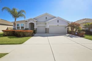 32030 Goddard Dr, WESLEY CHAPEL