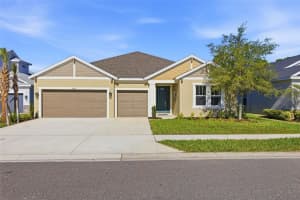 33332 Castaway Loop, WESLEY CHAPEL