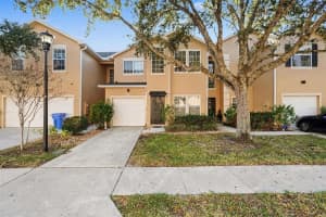 16318 Parkstone Palms Ct, TAMPA