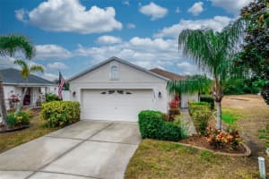 10602 Navigation Dr, RIVERVIEW