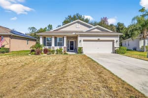 808 Bronze Bush Ct, PLANT CITY