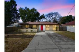 7806 N Albany Ave, TAMPA