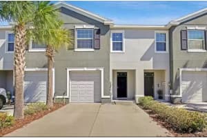 8836 Indigo Trail Loop, RIVERVIEW