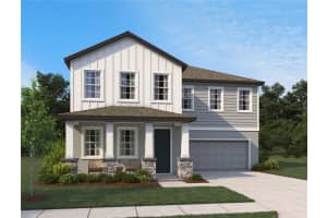 10030 Hidden Hammock Loop, PARRISH